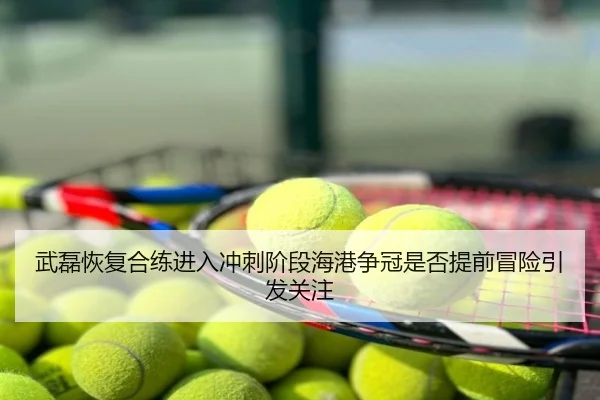 武磊恢复合练进入冲刺阶段海港争冠是否提前冒险引发关注